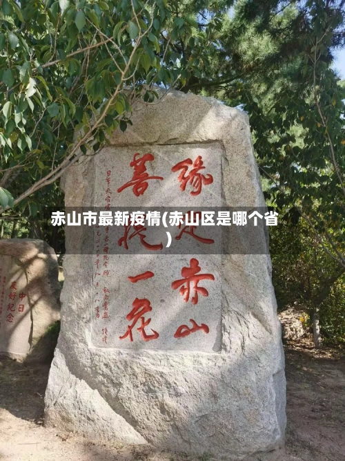 赤山市最新疫情(赤山区是哪个省)-第2张图片