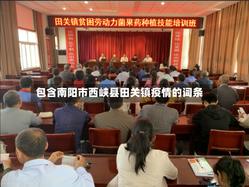 包含南阳市西峡县田关镇疫情的词条-第2张图片