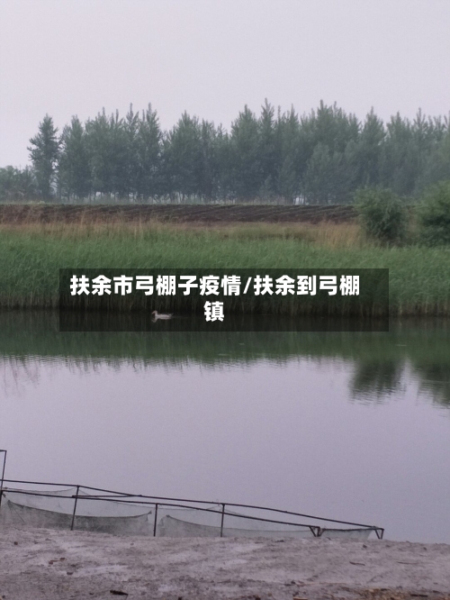 扶余市弓棚子疫情/扶余到弓棚镇-第3张图片