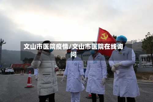 文山市医院疫情/文山市医院在线询问-第1张图片
