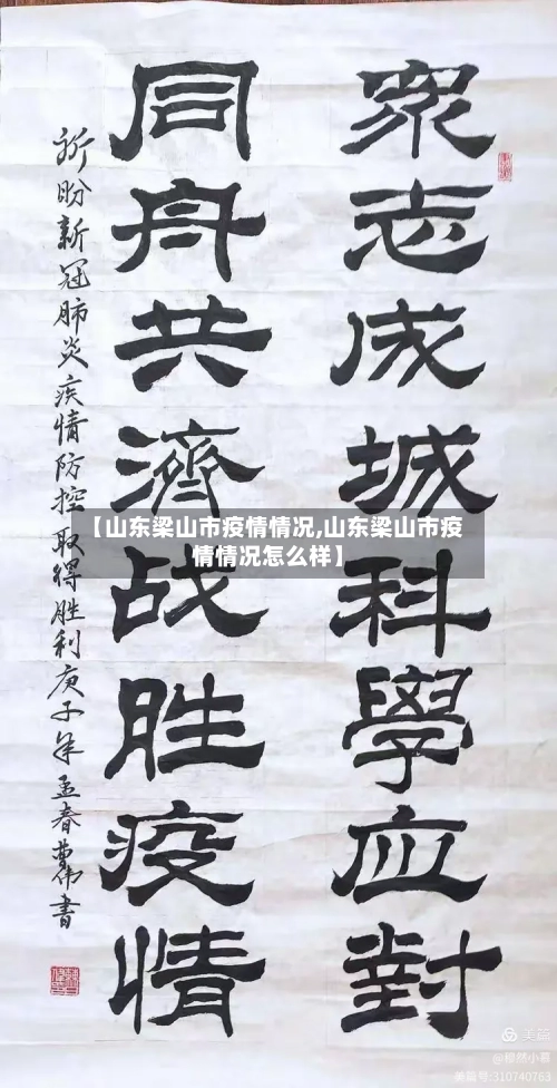 【山东梁山市疫情情况,山东梁山市疫情情况怎么样】-第2张图片