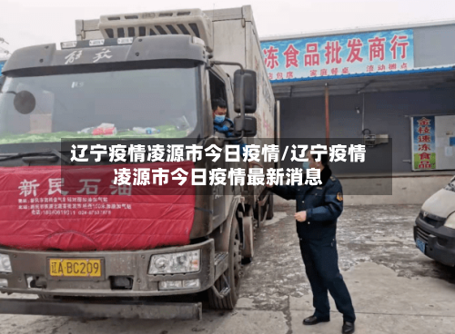 辽宁疫情凌源市今日疫情/辽宁疫情凌源市今日疫情最新消息-第3张图片