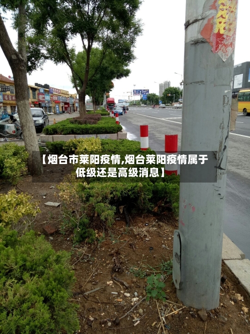 【烟台市莱阳疫情,烟台莱阳疫情属于低级还是高级消息】-第1张图片