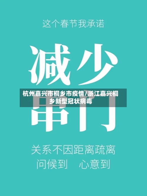 杭州嘉兴市桐乡市疫情/浙江嘉兴桐乡新型冠状病毒-第2张图片