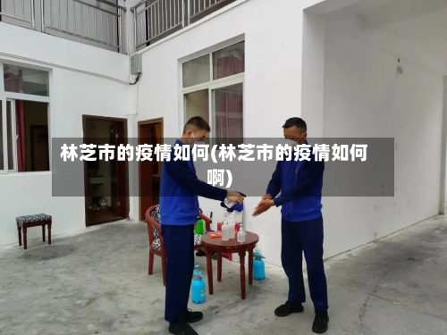 林芝市的疫情如何(林芝市的疫情如何啊)-第3张图片