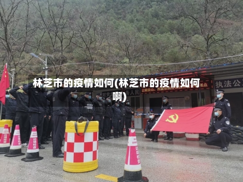 林芝市的疫情如何(林芝市的疫情如何啊)-第1张图片