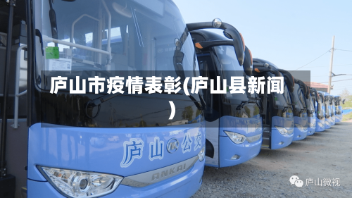 庐山市疫情表彰(庐山县新闻)-第1张图片