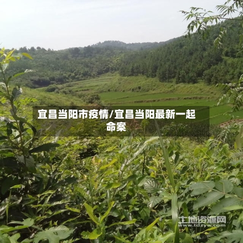 宜昌当阳市疫情/宜昌当阳最新一起命案-第1张图片