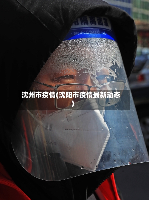沈州市疫情(沈阳市疫情最新动态)-第2张图片