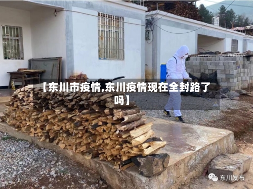 【东川市疫情,东川疫情现在全封路了吗】-第1张图片