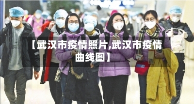 【武汉市疫情照片,武汉市疫情曲线图】-第1张图片