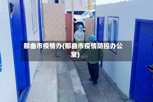 那曲市疫情办(那曲市疫情防控办公室)-第1张图片