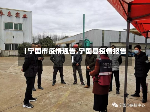 【宁国市疫情通告,宁国县疫情报告】-第2张图片