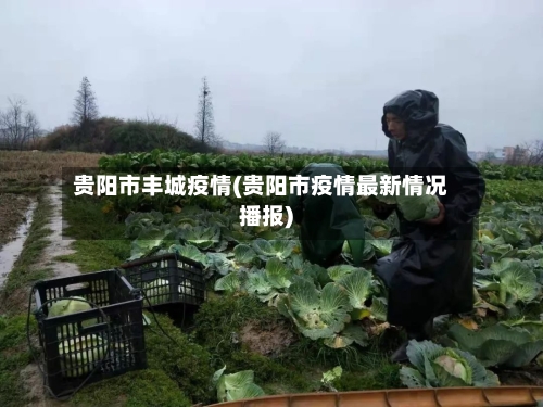 贵阳市丰城疫情(贵阳市疫情最新情况播报)-第1张图片