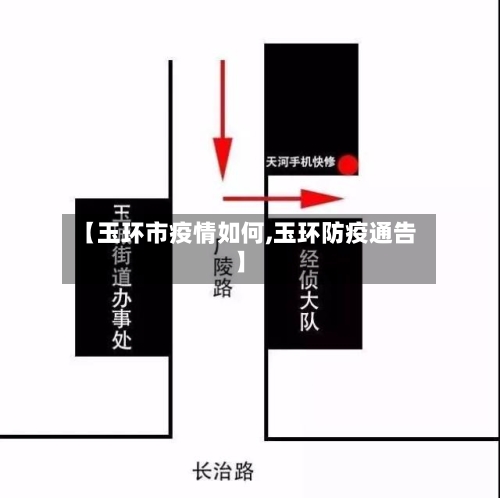 【玉环市疫情如何,玉环防疫通告】-第3张图片