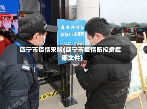 咸宁市疫情采购(咸宁市疫情防控指挥部文件)-第2张图片