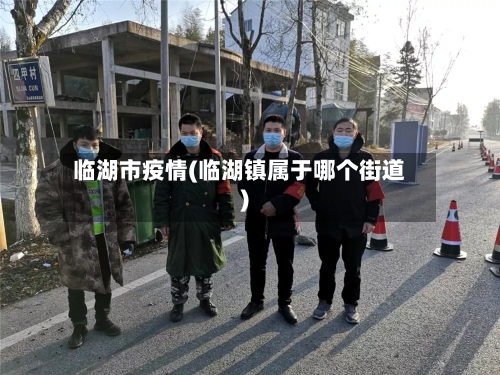 临湖市疫情(临湖镇属于哪个街道)-第3张图片