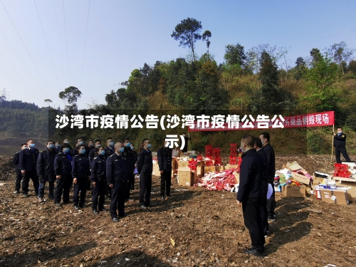 沙湾市疫情公告(沙湾市疫情公告公示)-第2张图片