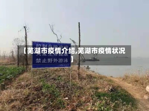【芜湖市疫情介绍,芜湖市疫情状况】-第1张图片