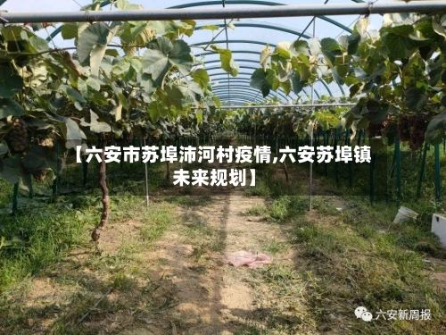 【六安市苏埠沛河村疫情,六安苏埠镇未来规划】-第1张图片