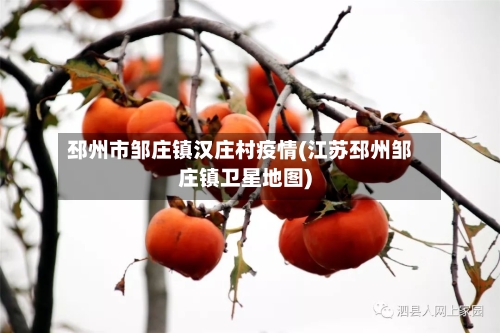 邳州市邹庄镇汉庄村疫情(江苏邳州邹庄镇卫星地图)-第2张图片