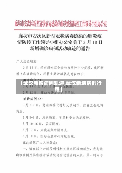 【武汉新增病例轨迹,武汉新增病例行程】-第2张图片