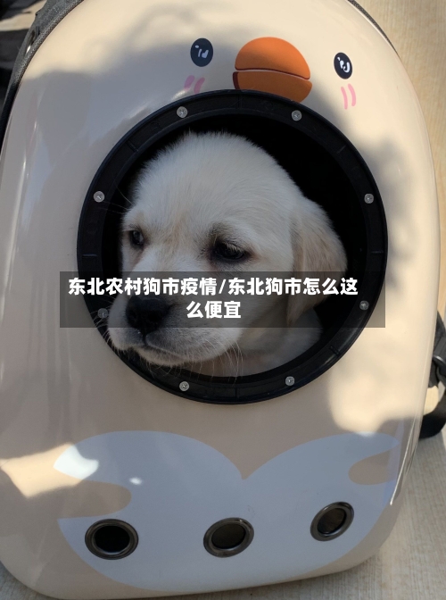 东北农村狗市疫情/东北狗市怎么这么便宜-第1张图片