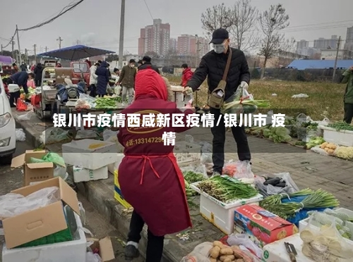 银川市疫情西咸新区疫情/银川市 疫情-第1张图片