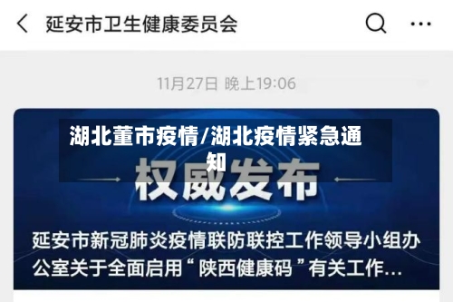 湖北董市疫情/湖北疫情紧急通知-第1张图片