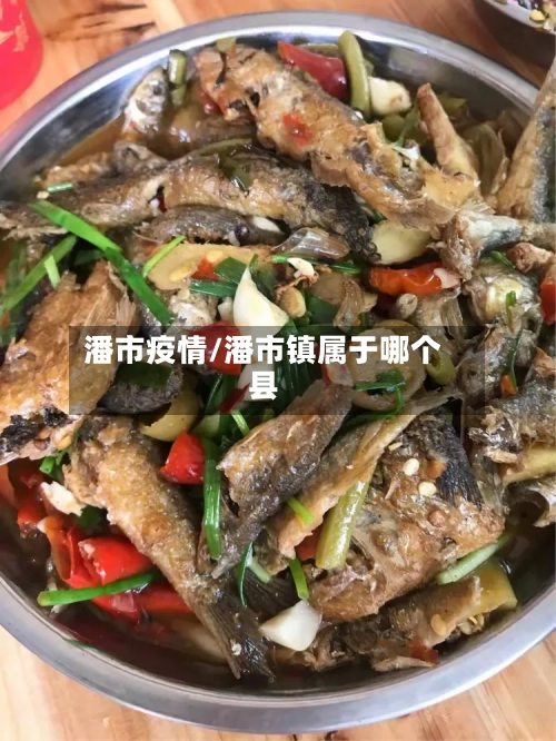 潘市疫情/潘市镇属于哪个县-第2张图片