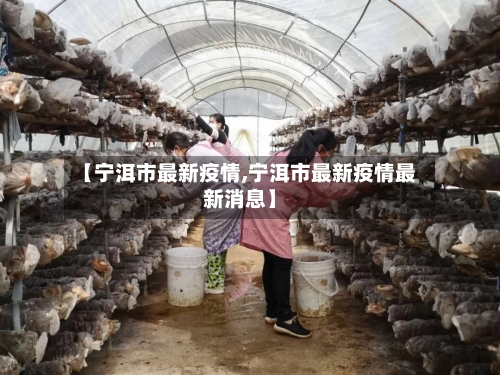 【宁洱市最新疫情,宁洱市最新疫情最新消息】-第1张图片