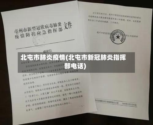 北屯市肺炎疫情(北屯市新冠肺炎指挥部电话)-第2张图片