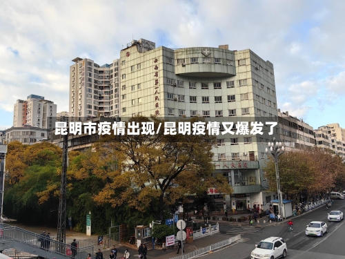 昆明市疫情出现/昆明疫情又爆发了-第3张图片