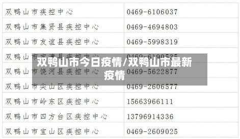 双鸭山市今日疫情/双鸭山市最新疫情-第2张图片