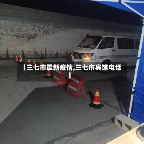 【三七市最新疫情,三七市宾馆电话】-第2张图片