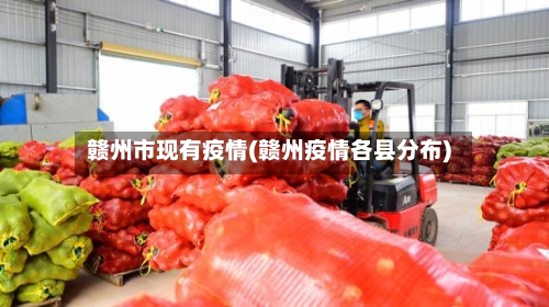 赣州市现有疫情(赣州疫情各县分布)-第2张图片