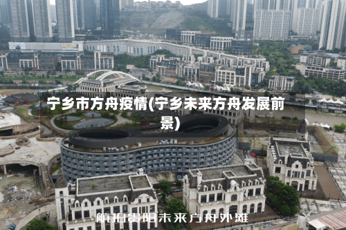 宁乡市方舟疫情(宁乡未来方舟发展前景)-第2张图片