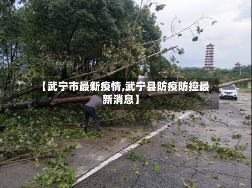 【武宁市最新疫情,武宁县防疫防控最新消息】-第1张图片