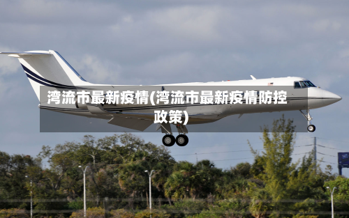 湾流市最新疫情(湾流市最新疫情防控政策)-第1张图片
