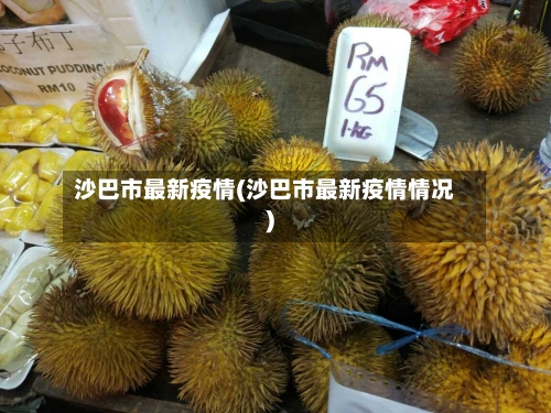 沙巴市最新疫情(沙巴市最新疫情情况)-第2张图片