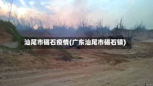 汕尾市碣石疫情(广东汕尾市碣石镇)-第2张图片