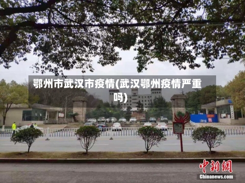 鄂州市武汉市疫情(武汉鄂州疫情严重吗)-第1张图片