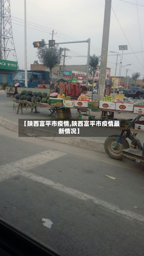 【陕西富平市疫情,陕西富平市疫情最新情况】-第2张图片
