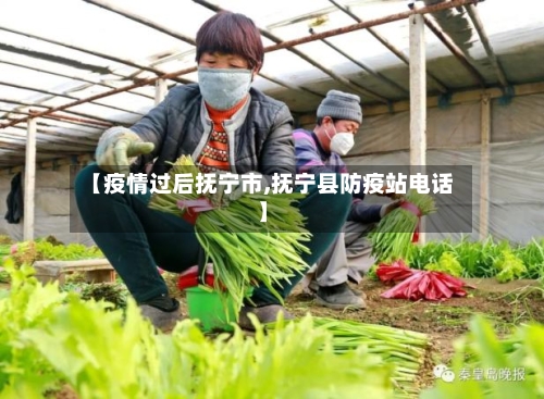 【疫情过后抚宁市,抚宁县防疫站电话】-第2张图片
