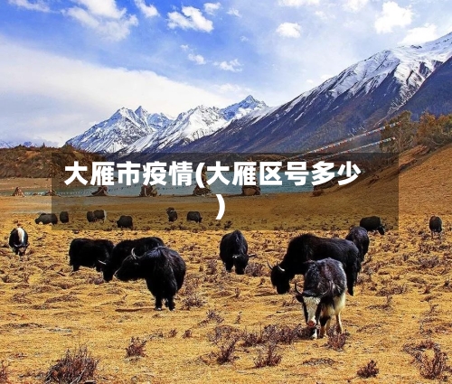 大雁市疫情(大雁区号多少)-第1张图片