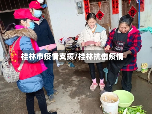 桂林市疫情支援/桂林抗击疫情-第3张图片