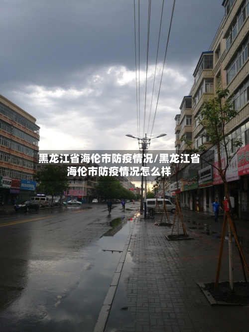 黑龙江省海伦市防疫情况/黑龙江省海伦市防疫情况怎么样-第1张图片