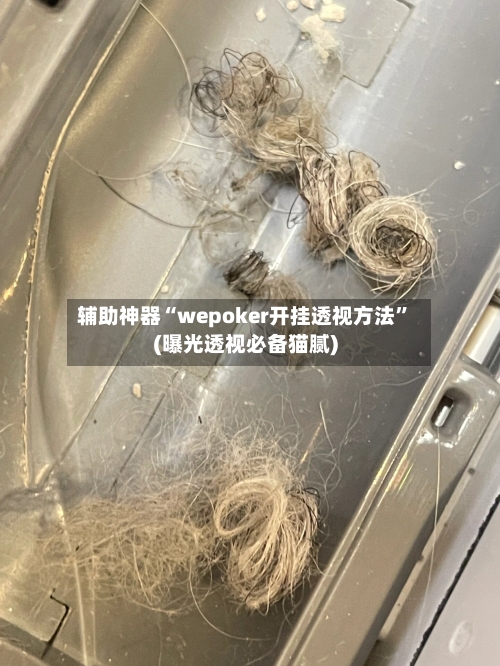 辅助神器“wepoker开挂透视方法”(曝光透视必备猫腻)-第2张图片