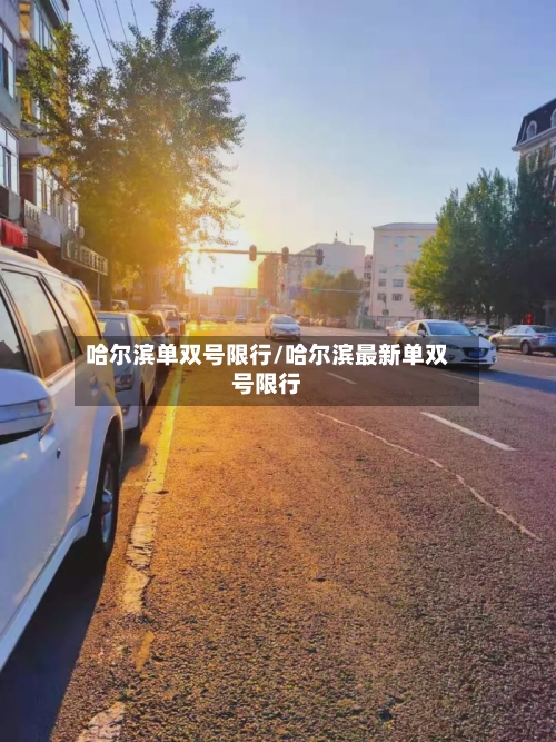 哈尔滨单双号限行/哈尔滨最新单双号限行-第3张图片