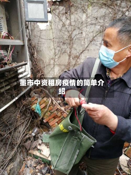 墨市中资租房疫情的简单介绍-第2张图片